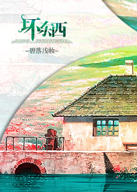 坏东西演唱版本